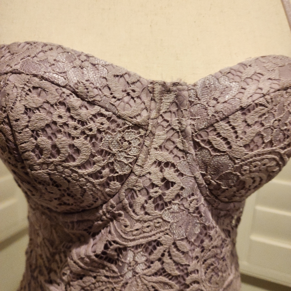 Bebe Lilac Lace Cocktail Dress